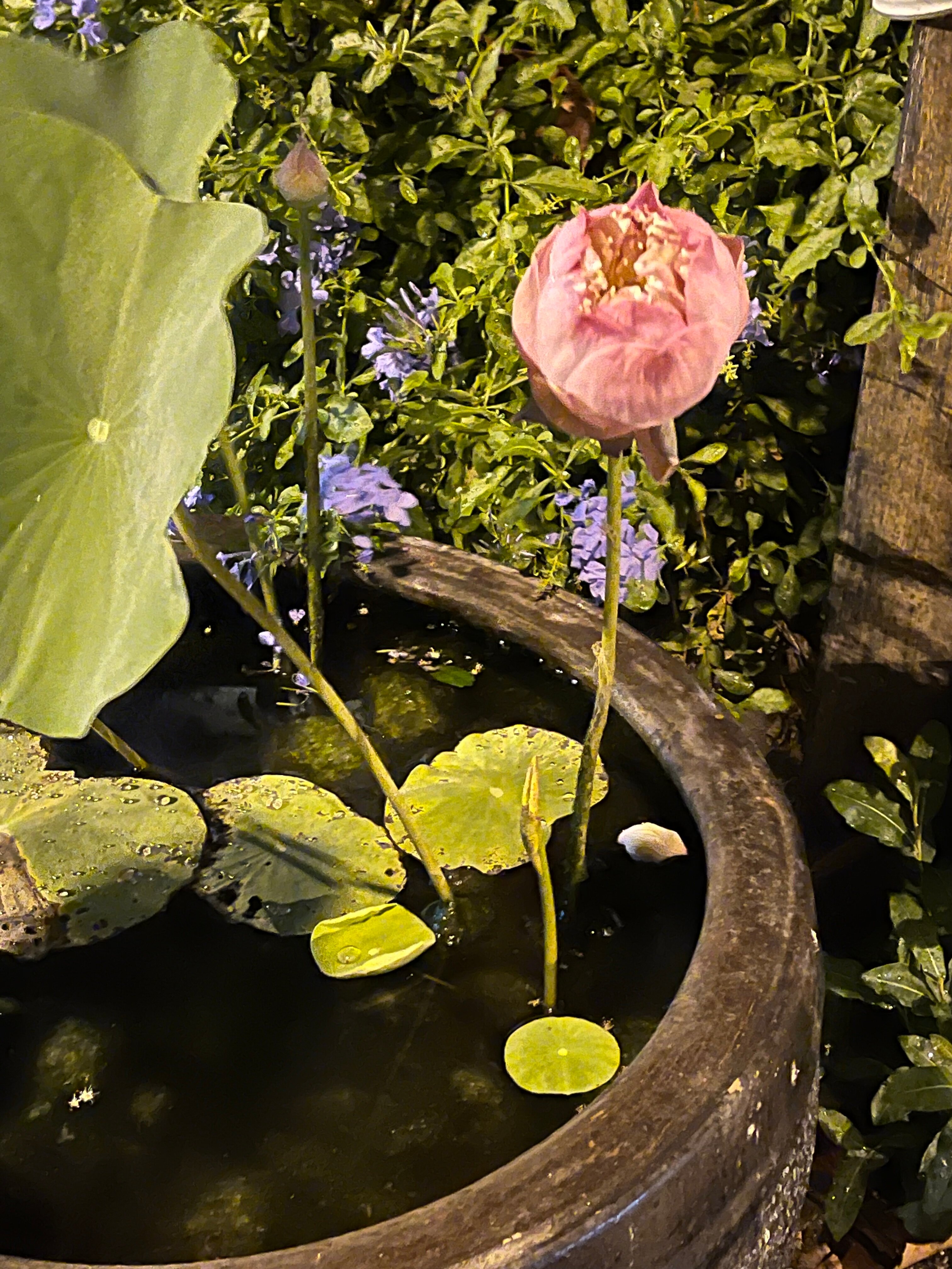 Фото Quarter 09 Beach