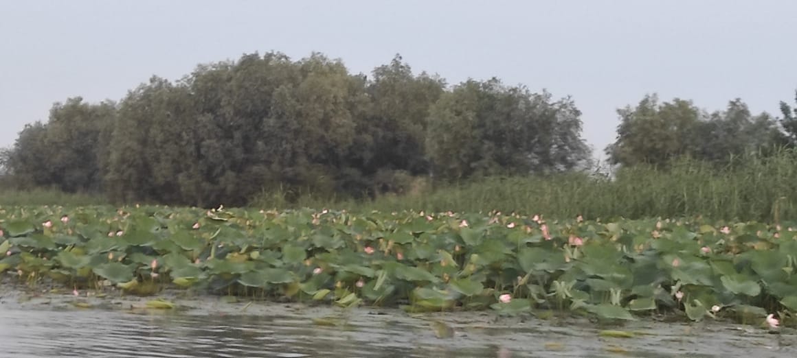 Фото У Анатолича