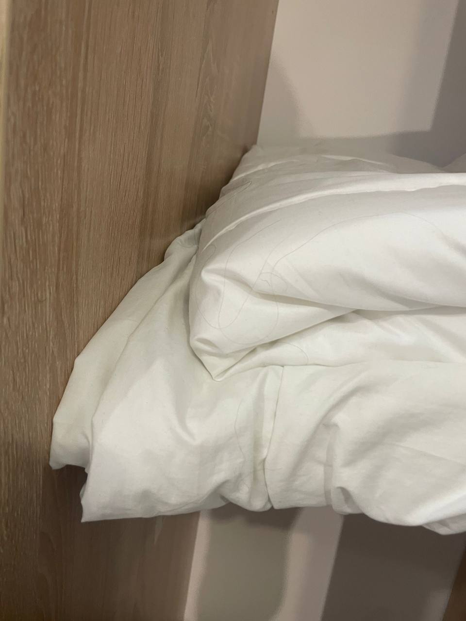 Фото Орленок