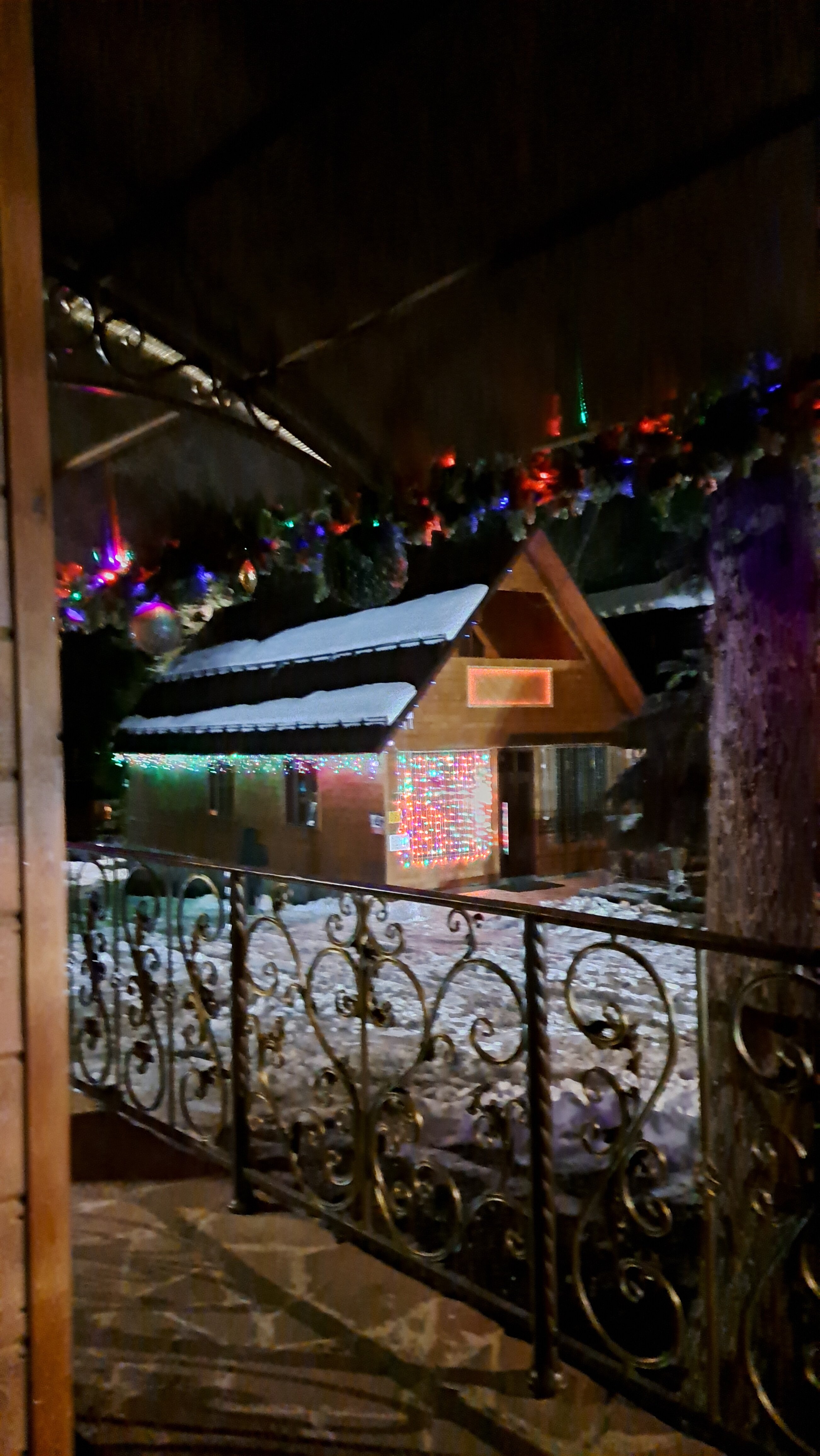 Фото Forest Yard