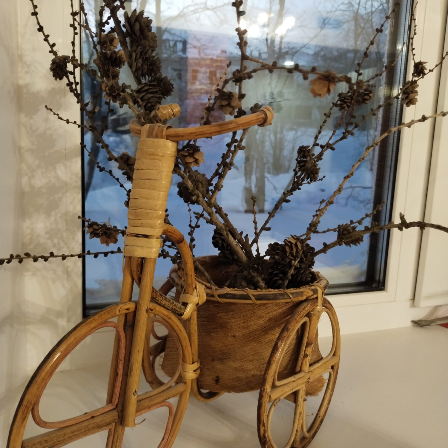 Фото Сарвара