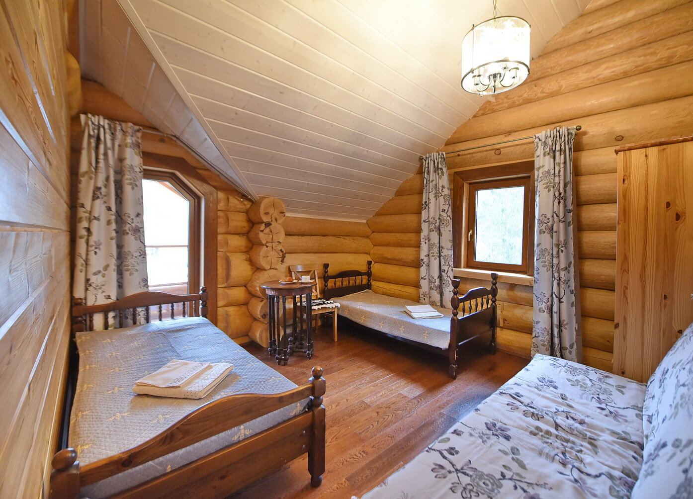 Фото Вырицкий мамонт