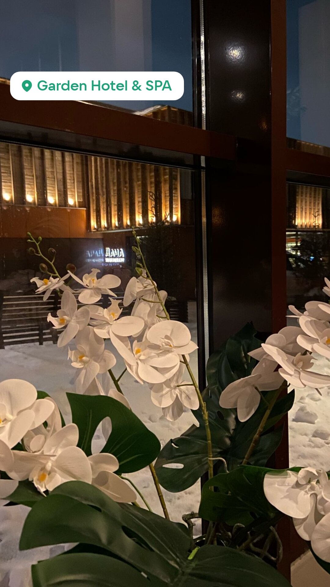 Фото Garden Hotel & SPA