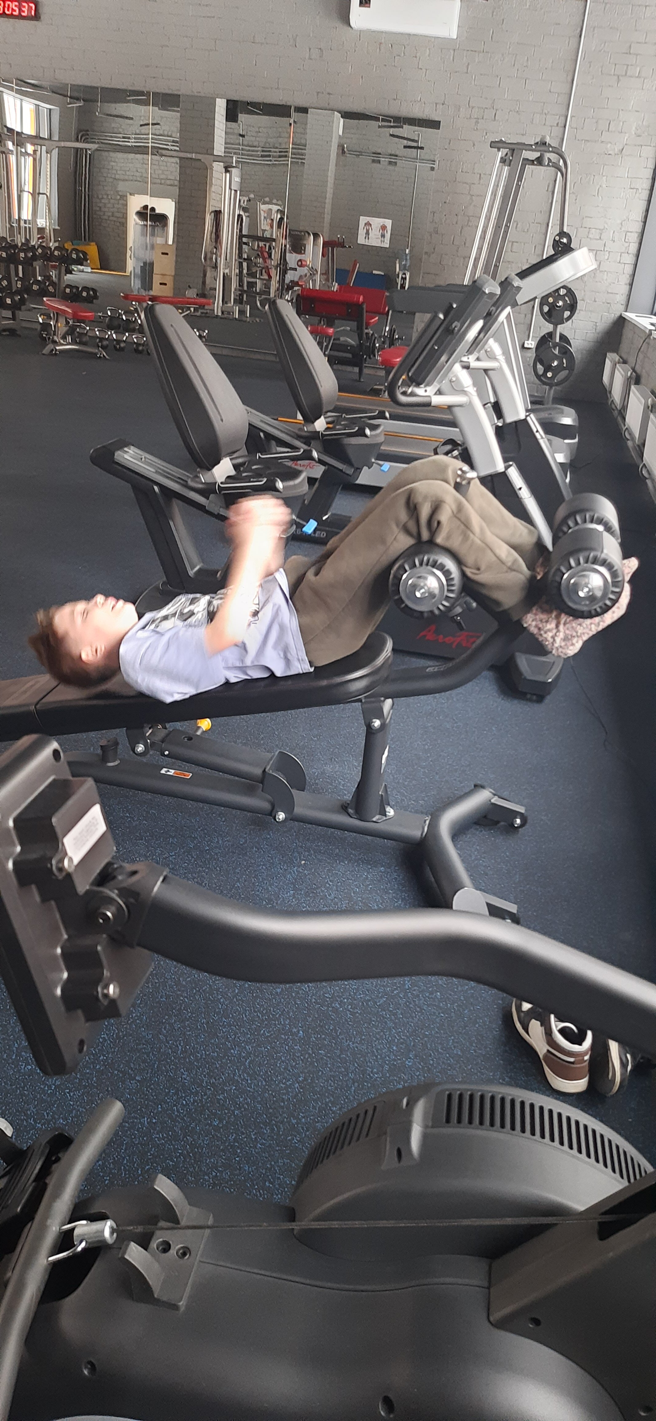 Фото Иволга