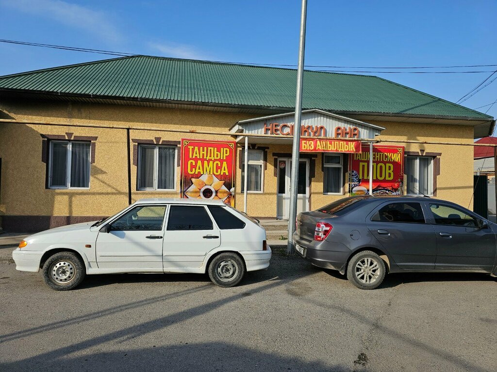 Canteen Nesipqul ana, Chimkent, photo