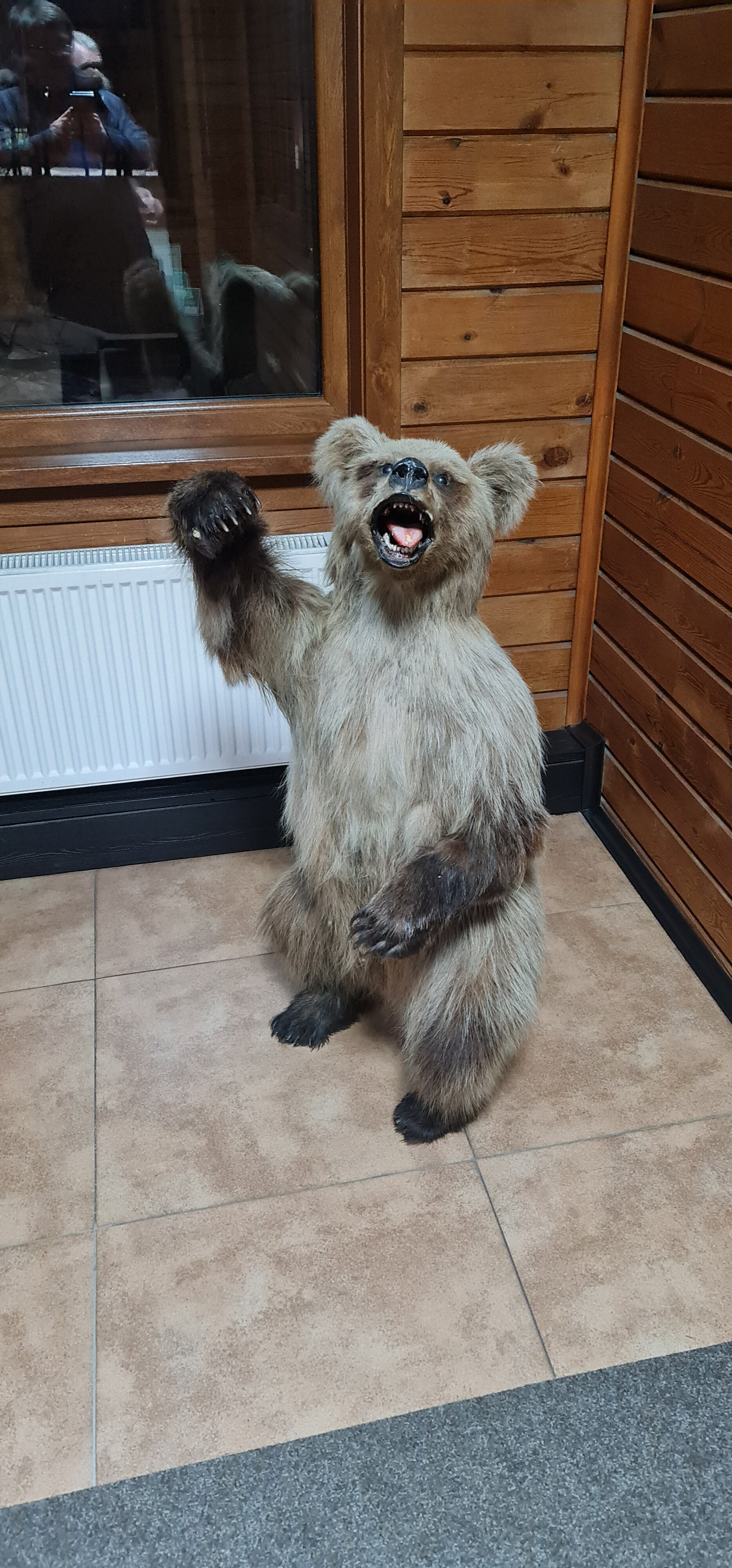 Фото Времена года