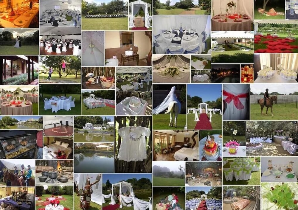 Фото African Silhouette Guesthouse