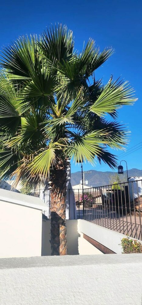 Фото Hotel Boutique Los Pasos & SPA