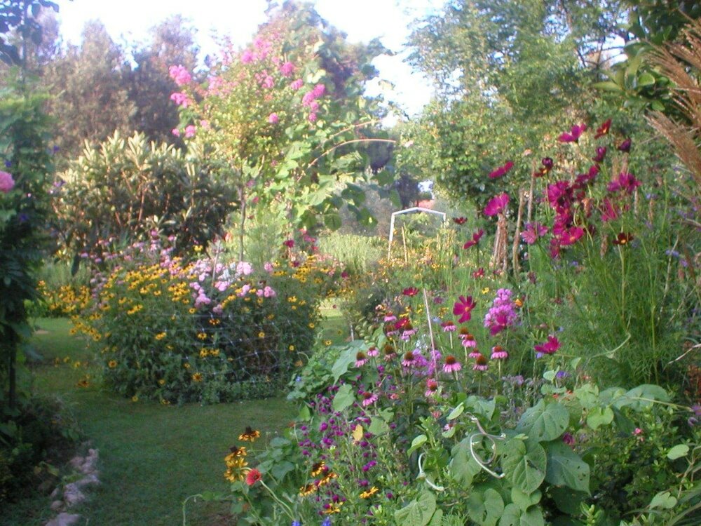 Фото Ivo - With Parking - A1