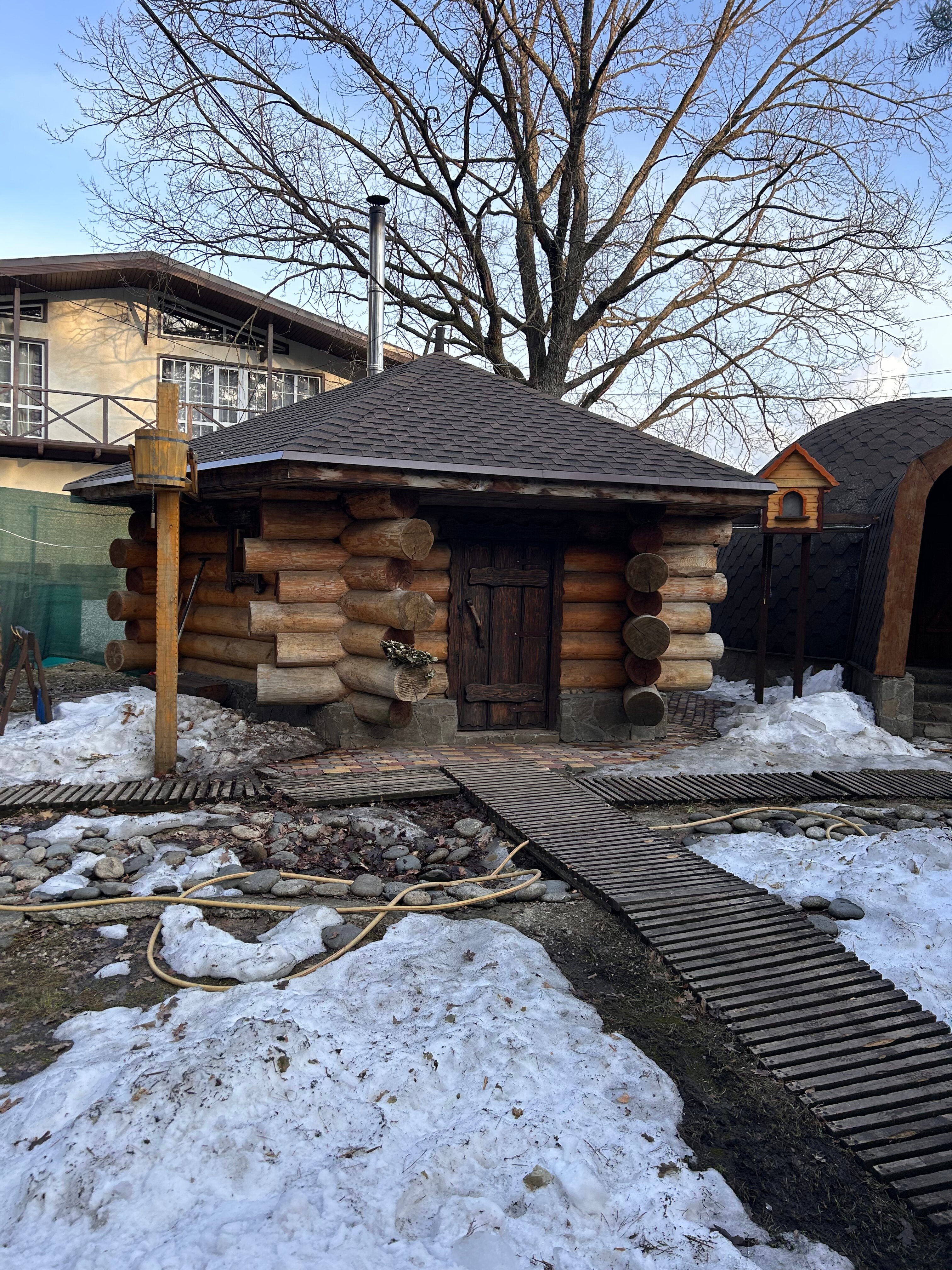 Фото Берёзка