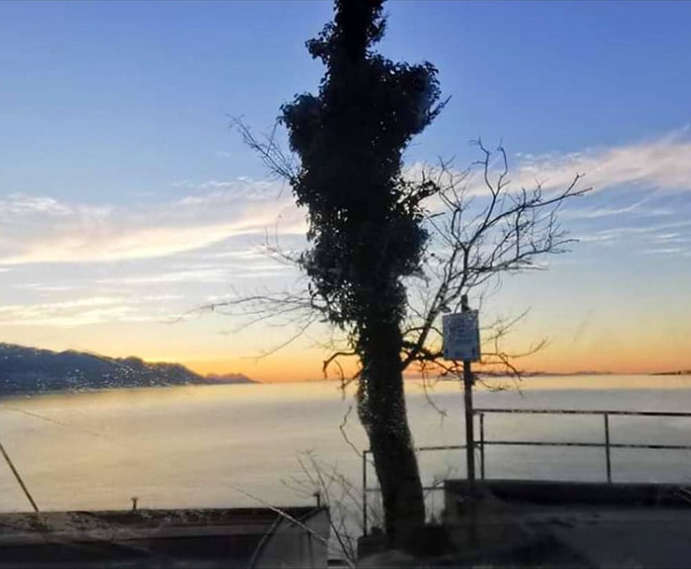 Фото Apartments Clementina Sunrise