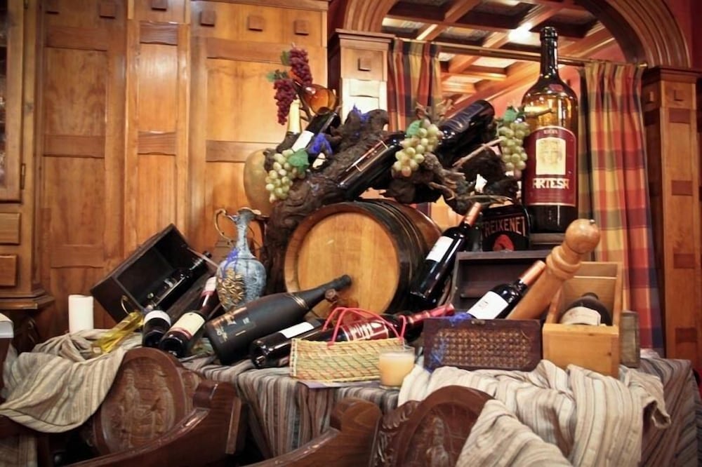 Фото Hotel Plaza Manjon