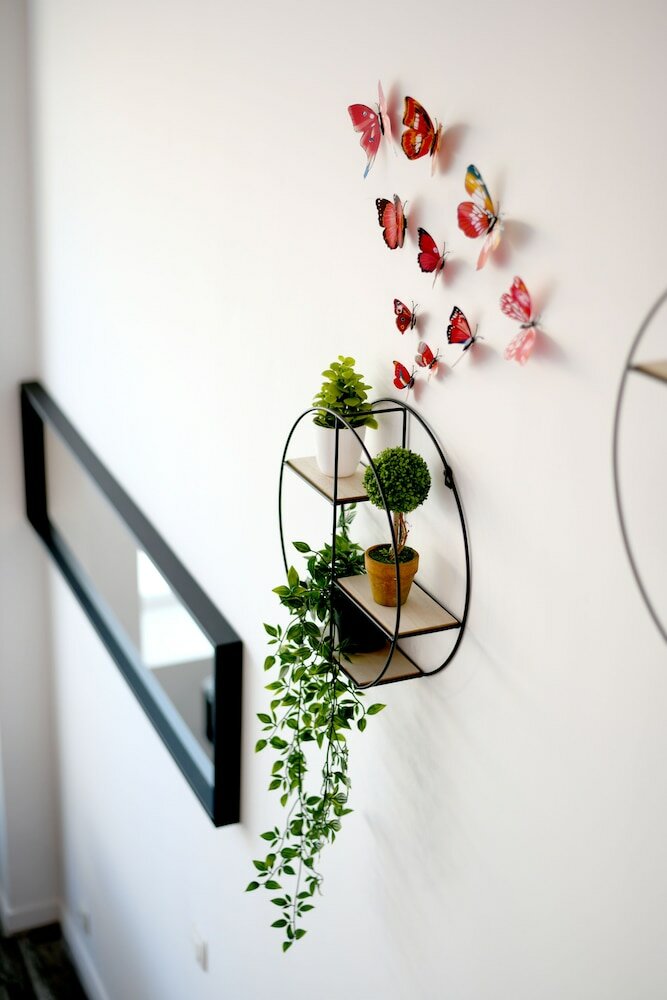 Фото Appart Cosy Brest Les Capucins