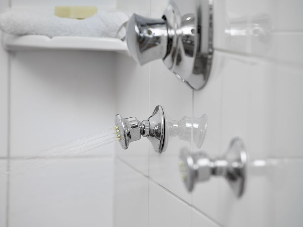 Фото Metterra Hotel on Whyte