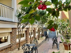 Гостиница Linden Row Inn