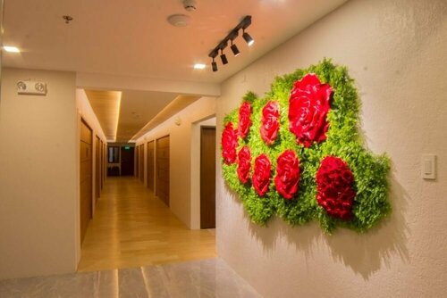 Гостиница Hotel Rosita