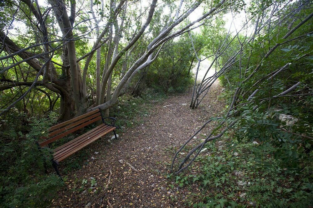 Фото Montepaolo Dimora di Charme