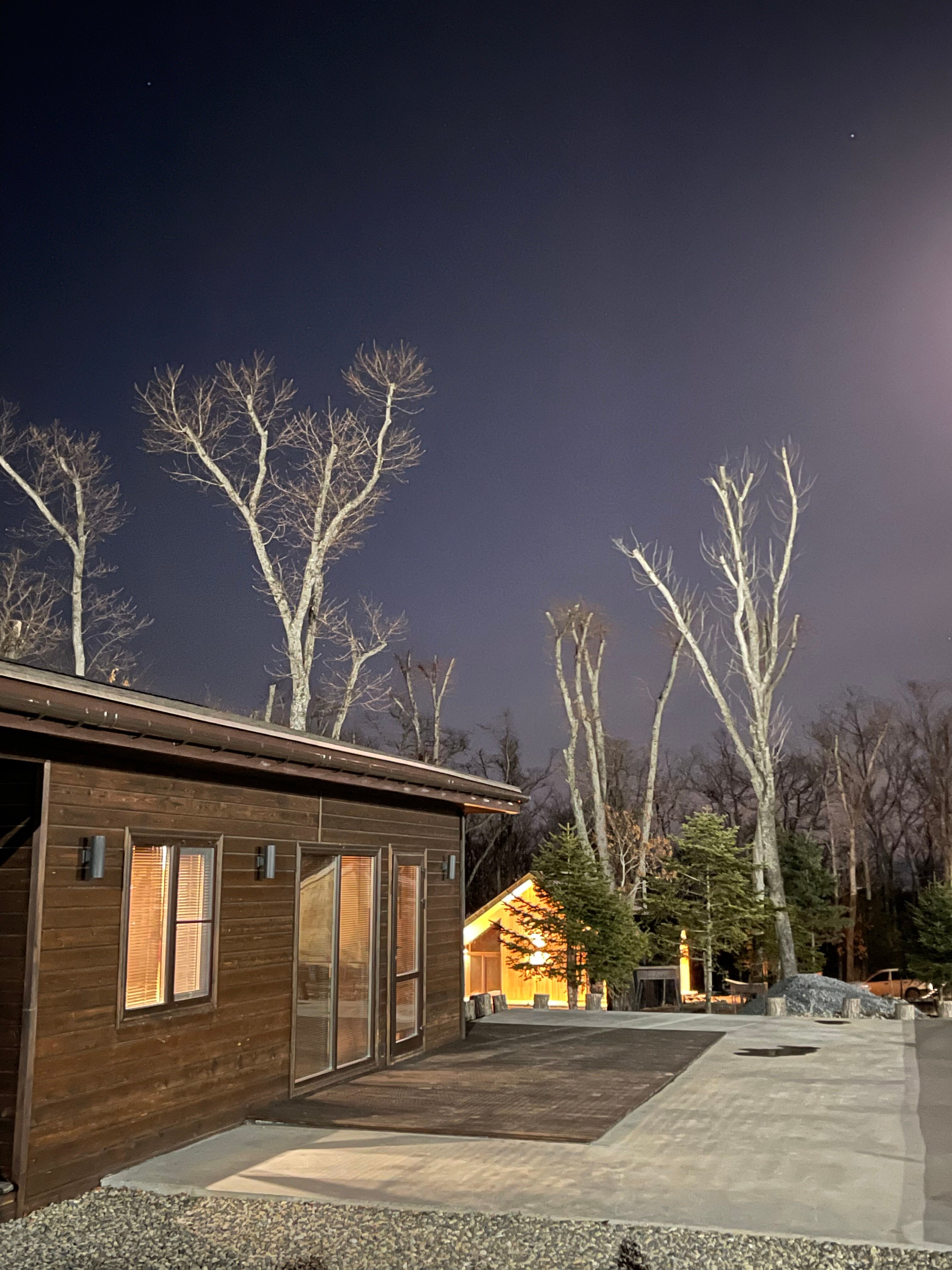 Фото Pine Family