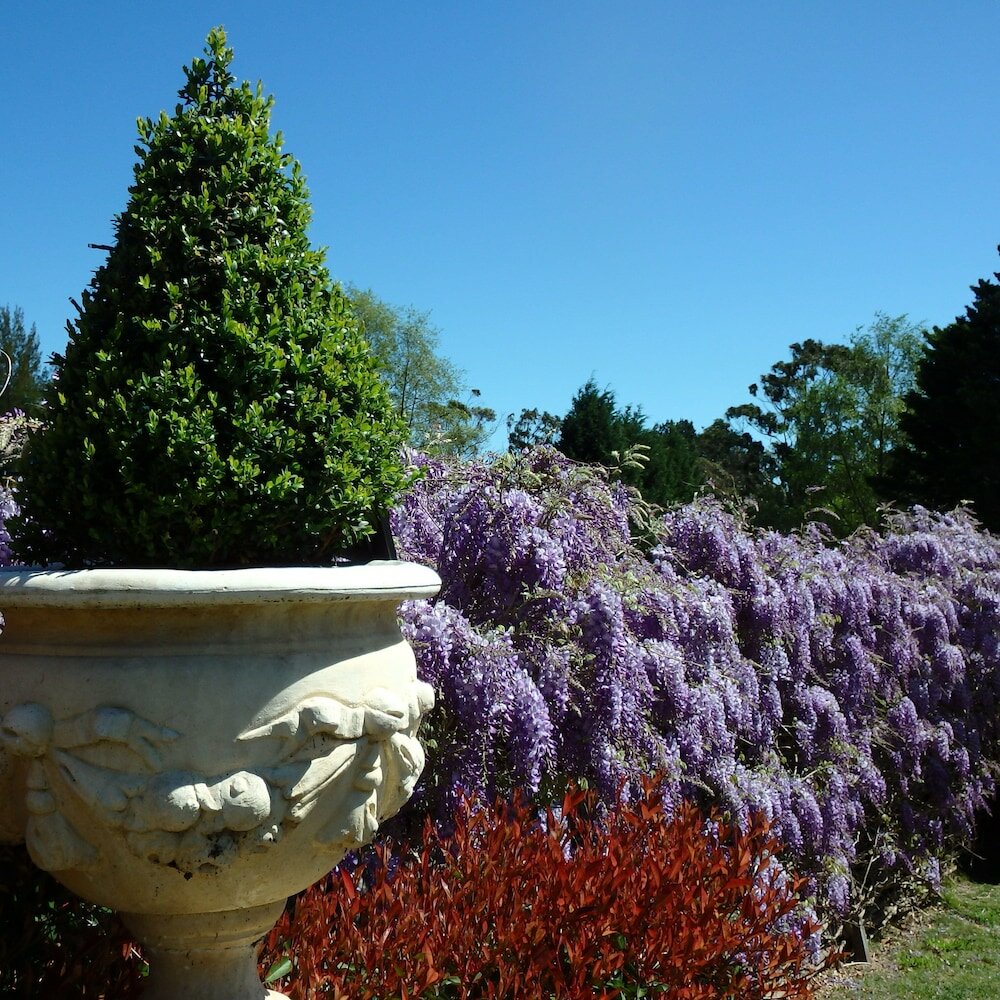 Фото Bowral Road Bed and Breakfast