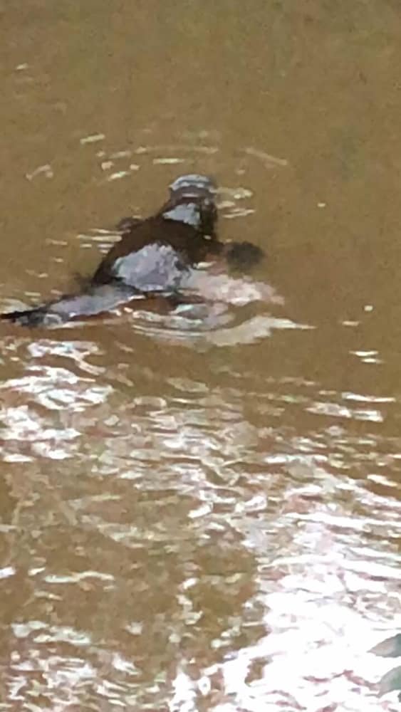 Фото Valley Farm Vineyard Cottages