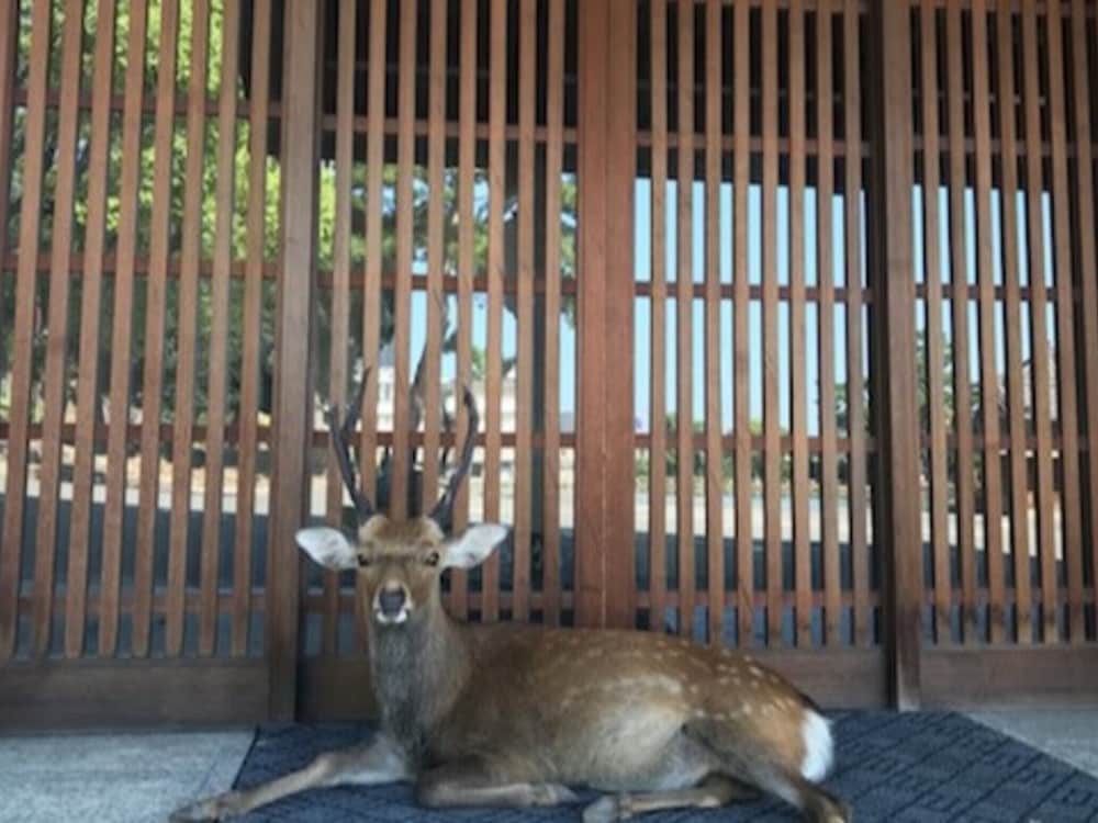 Фото Sarusawaike Yoshidaya