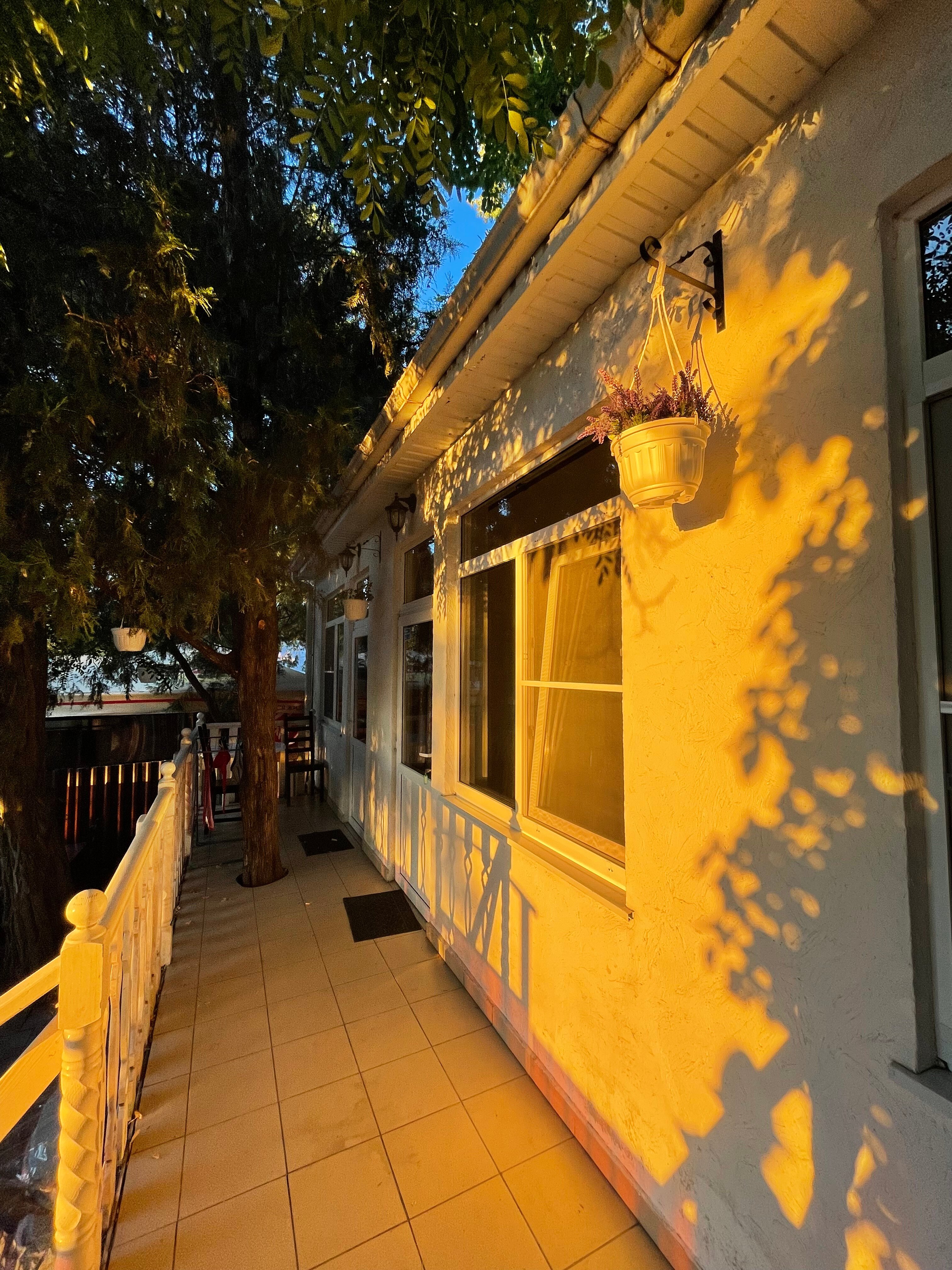 Фото Прованс