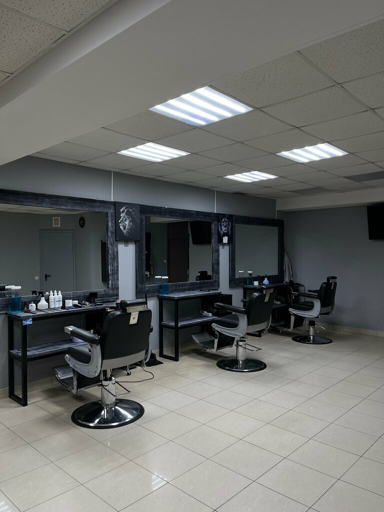 Hairdresser Lion, Zhukovskiy, photo