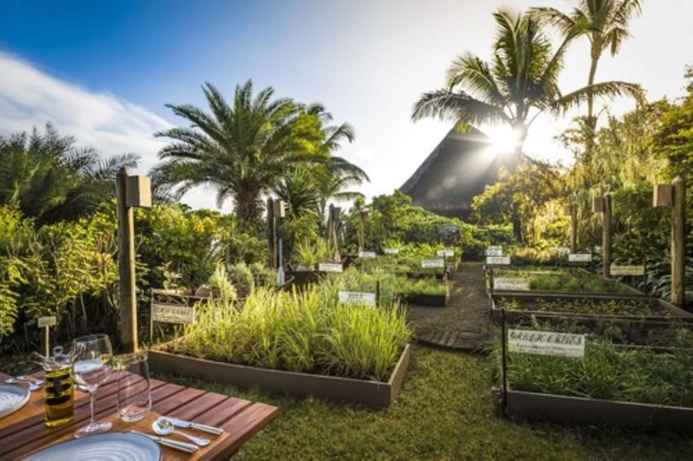 Фото The Oberoi Beach Resort, Mauritius