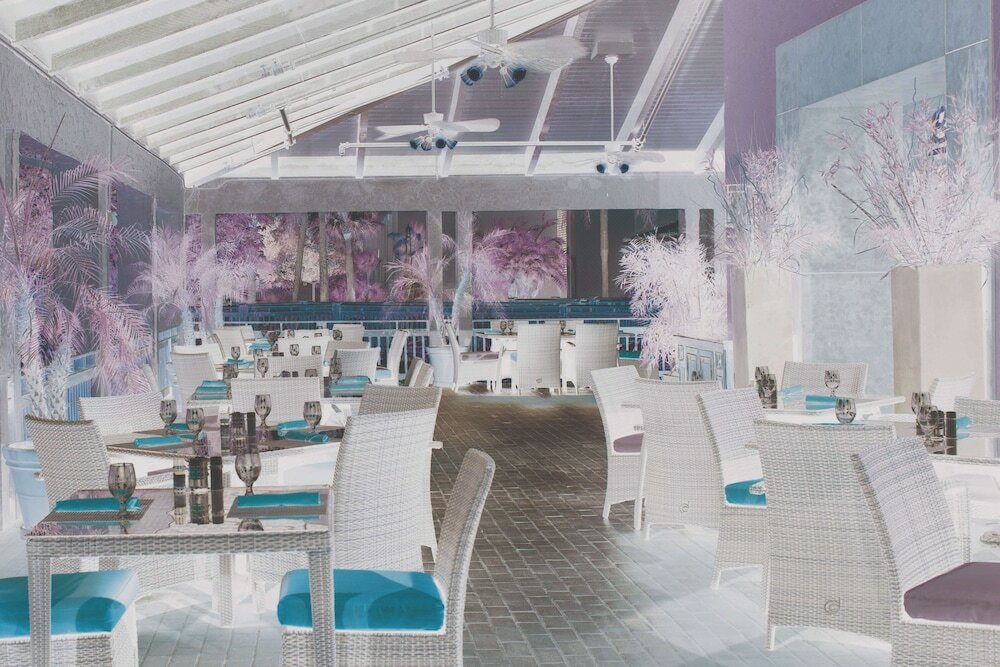 Фото DoubleTree by Hilton Hotel Orlando at SeaWorld