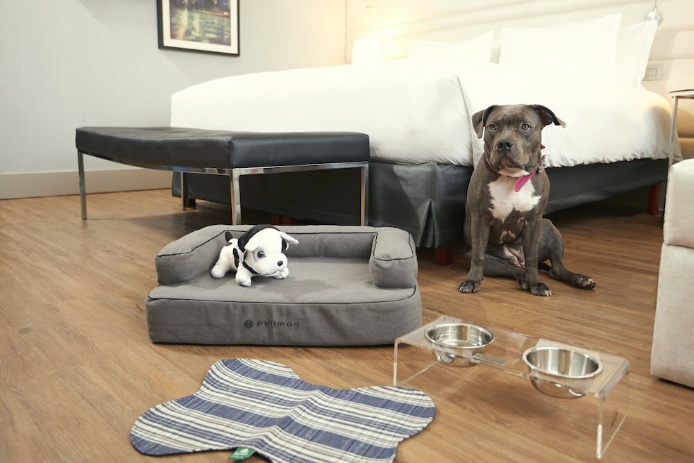 Фото Pullman São Paulo Vila Olímpia