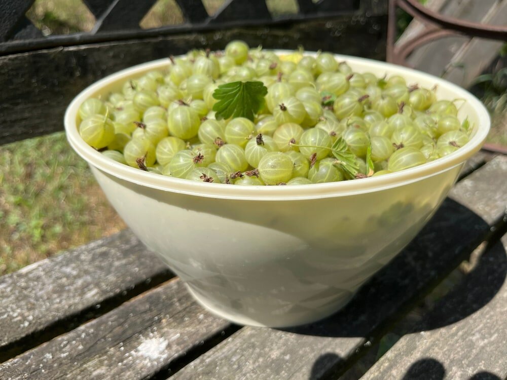 Фото Pension Zelený grunt