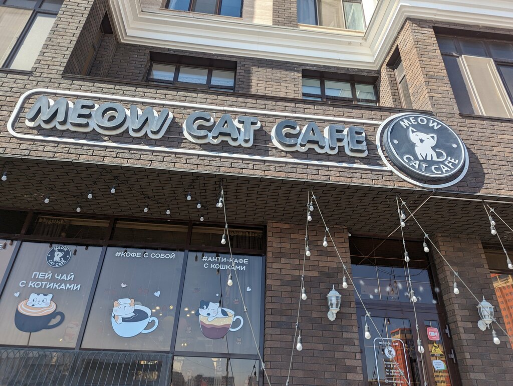 Anti-café Meow Cat Cafe, Astana, photo