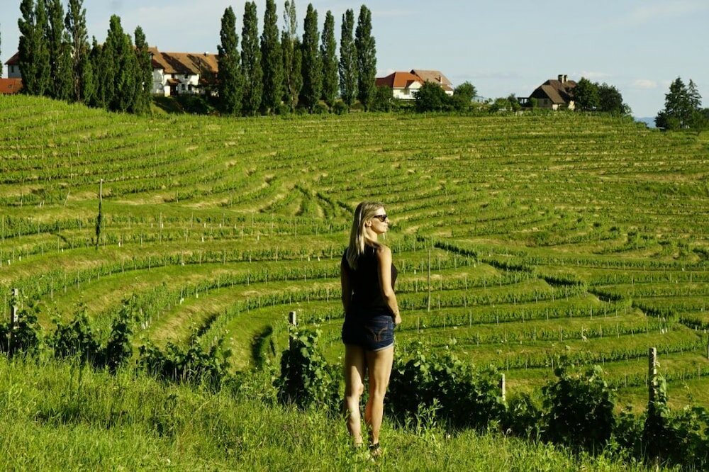 Фото Hotel Mitra