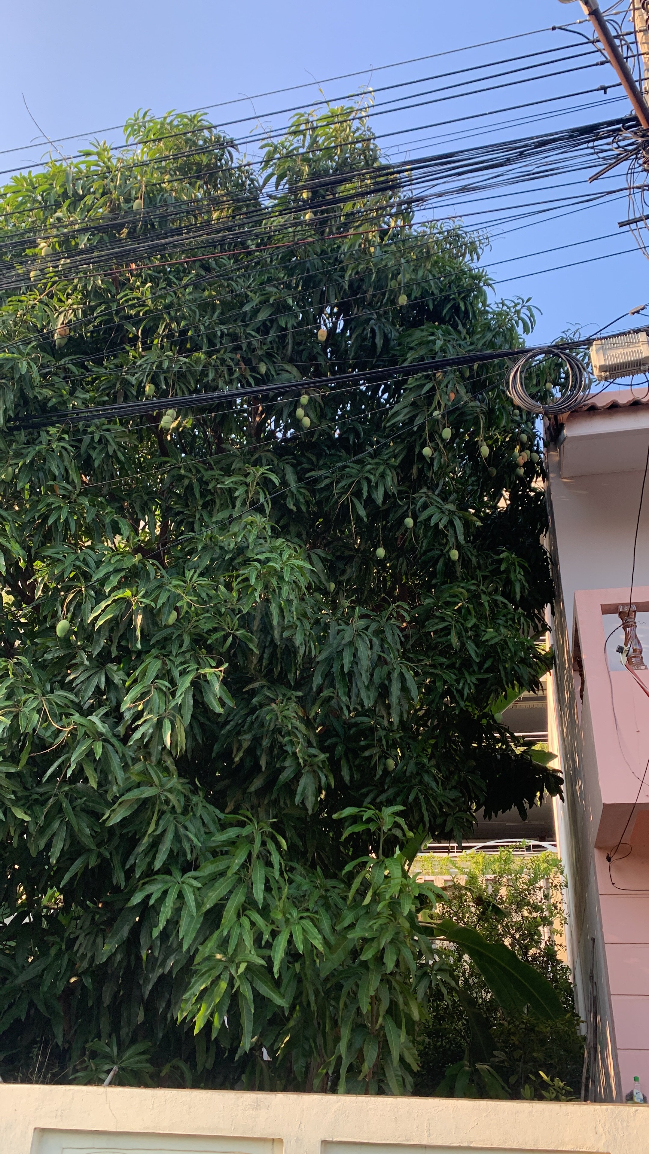 Фото Chom View Hotel