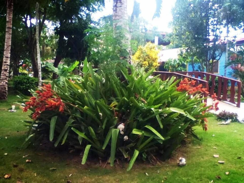 Фото Plaza Real Resort