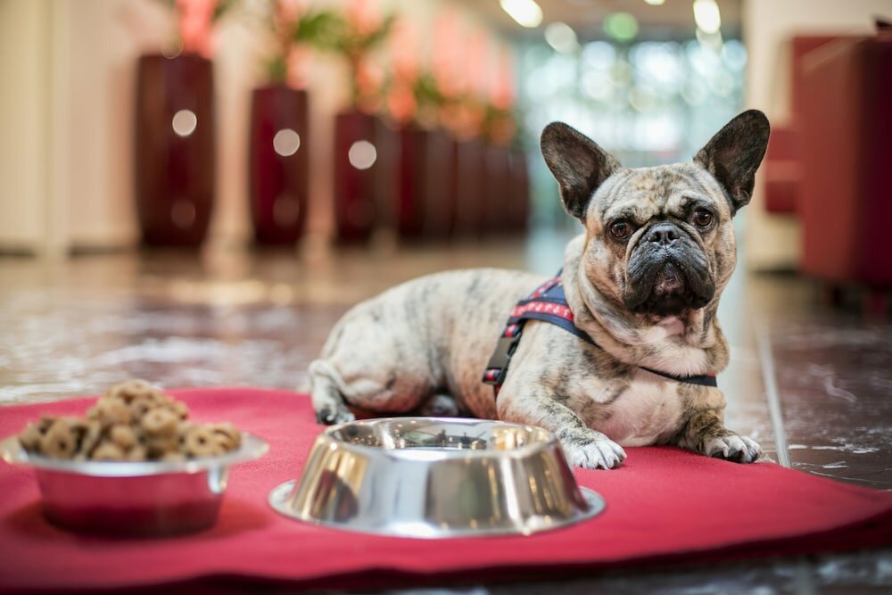 Фото Arcotel Rubin Hamburg