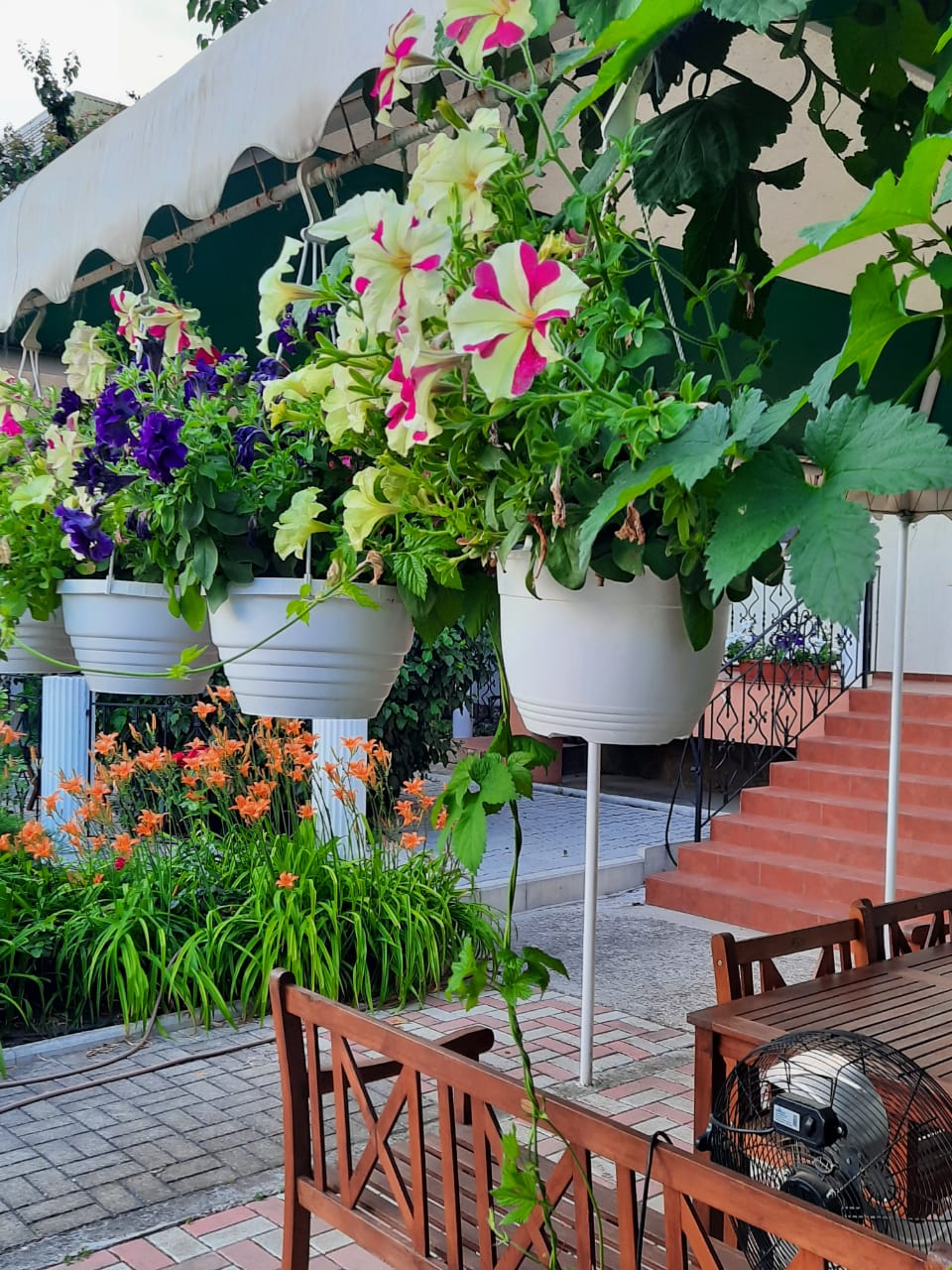 Фото Меридиана-2