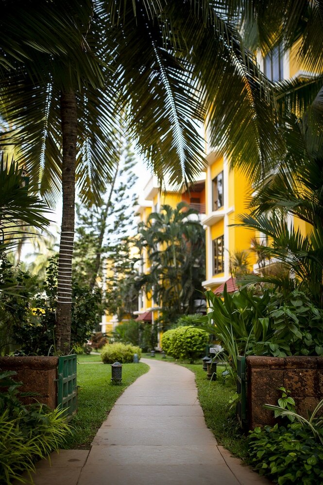 Фото Adamo The Bellus