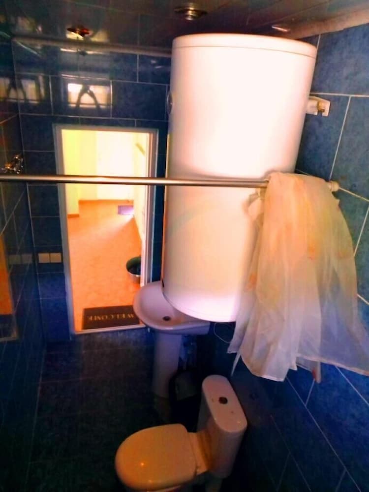 Фото Отель Shaulini