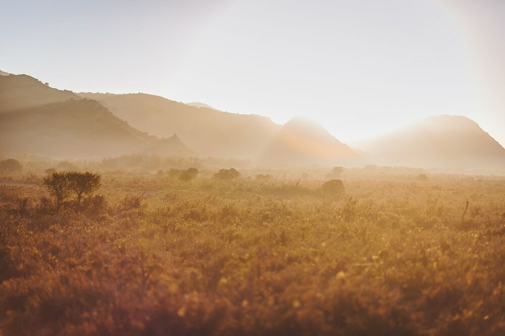 Фото Rooiberg Safaris