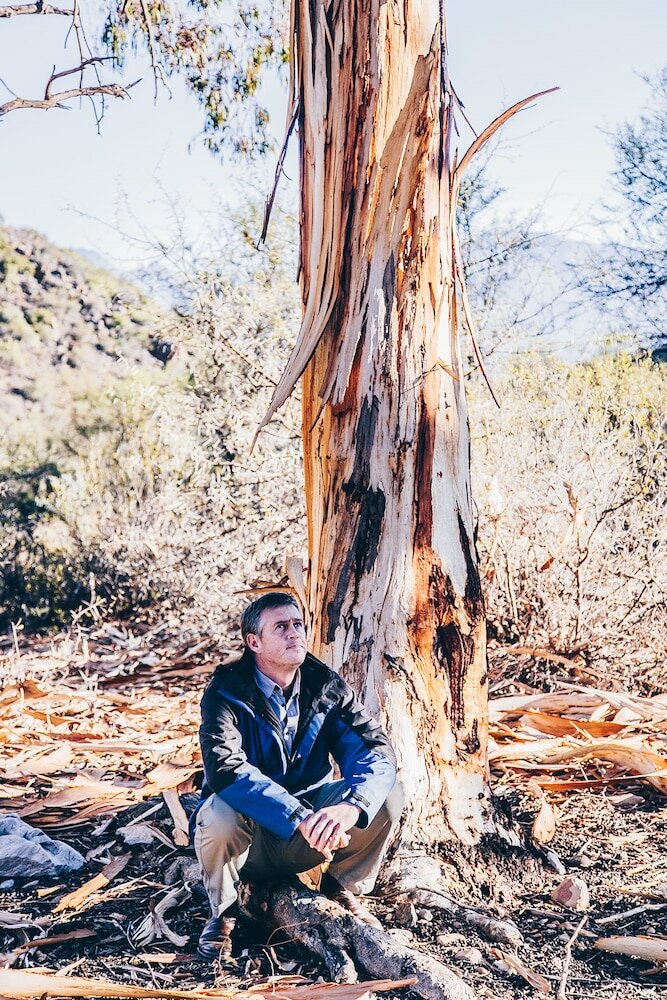 Фото Rooiberg Safaris