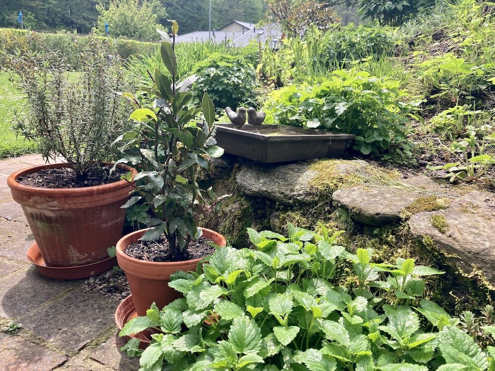 Фото Pension Vila Julie