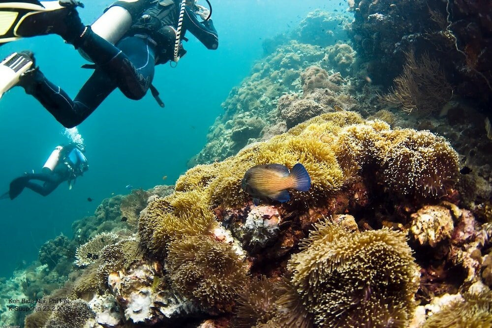 Фото Coco's Guesthouse