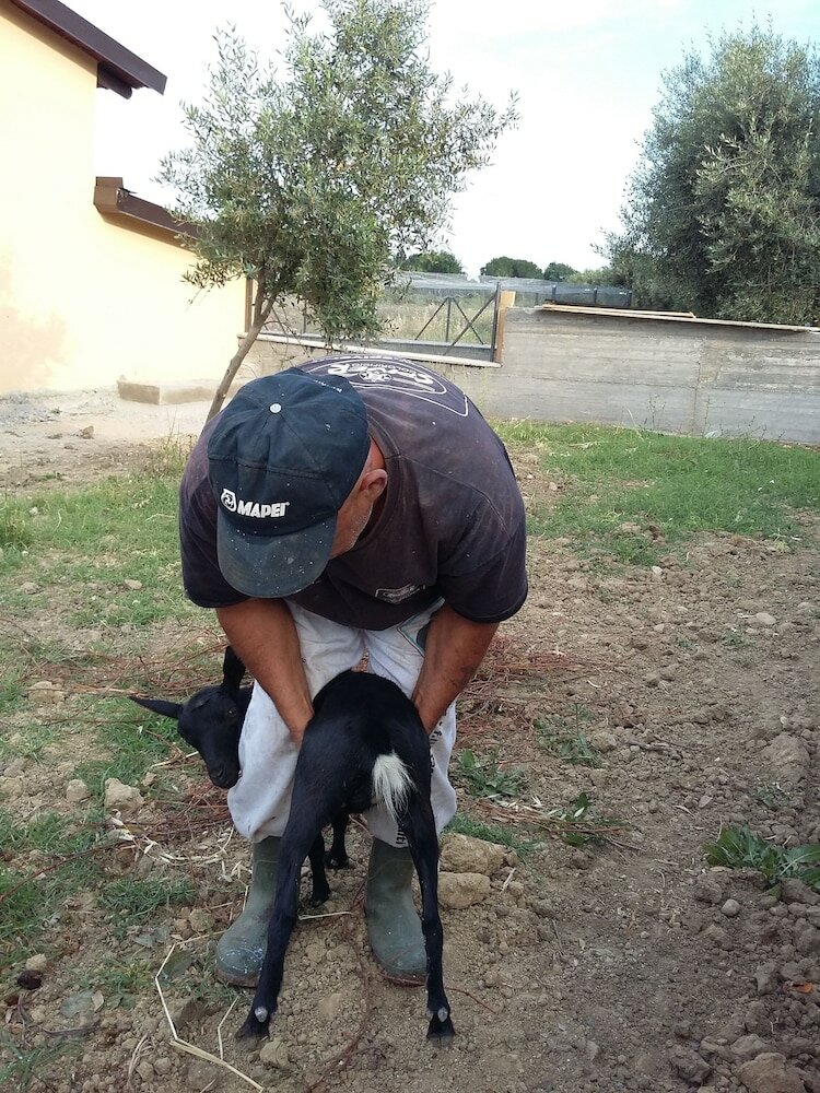 Фото Agriturismo Fieri