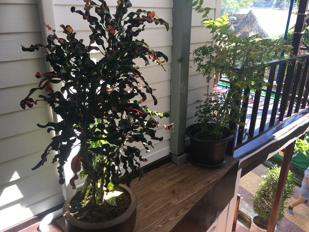 Фото Coco's Guesthouse