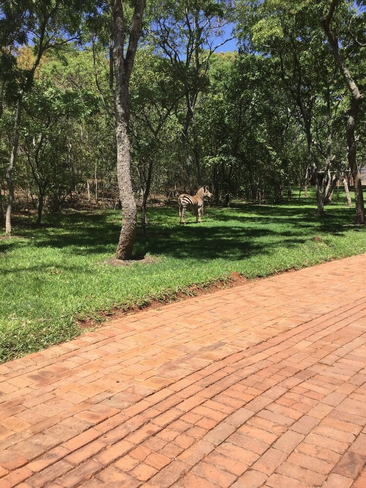 Фото Manna Resorts