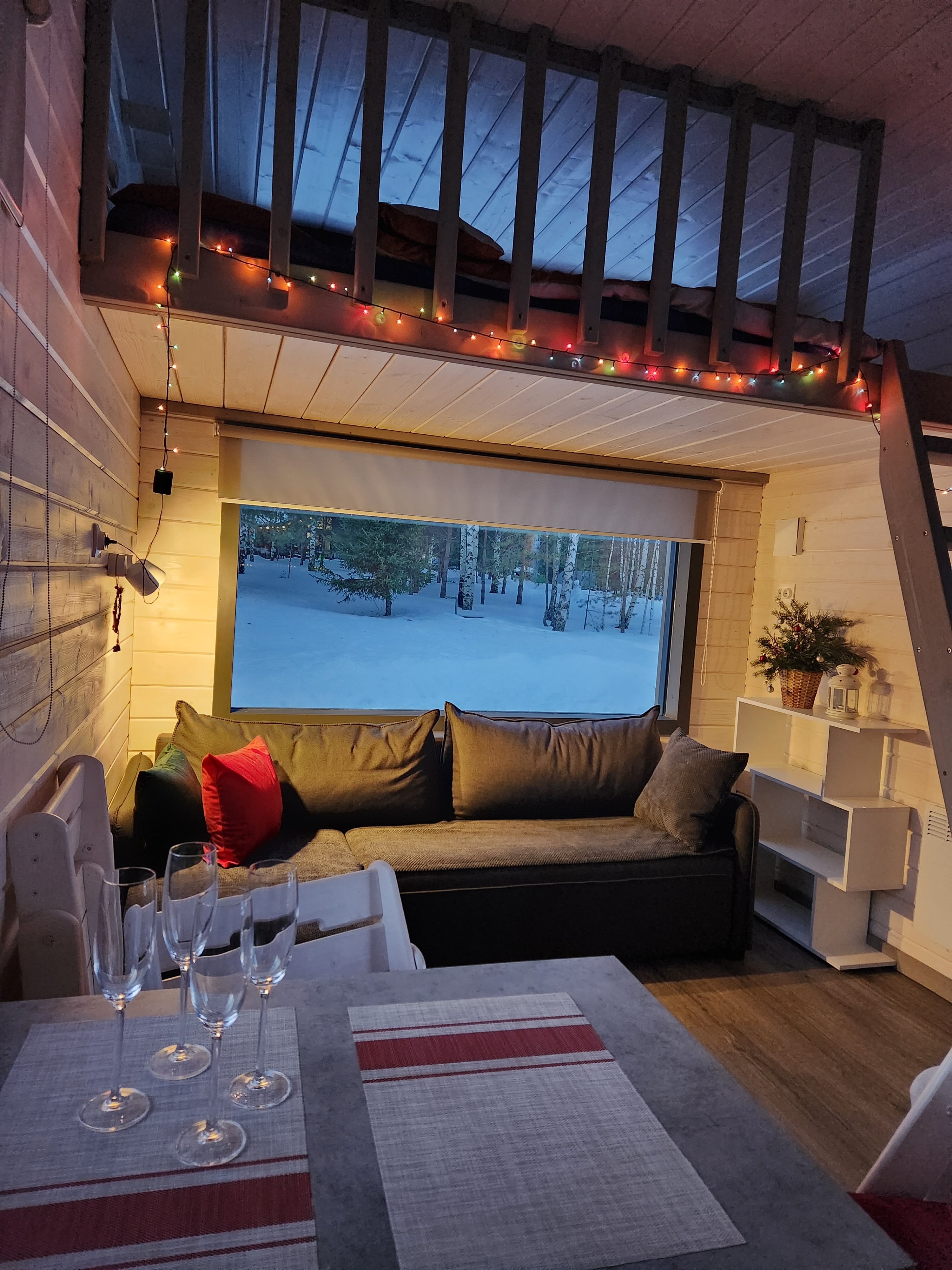 Фото Ёлки зелёные