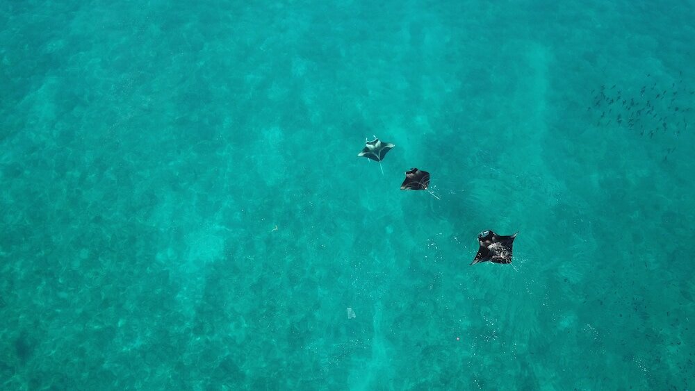 Фото SeaLaVie Inn