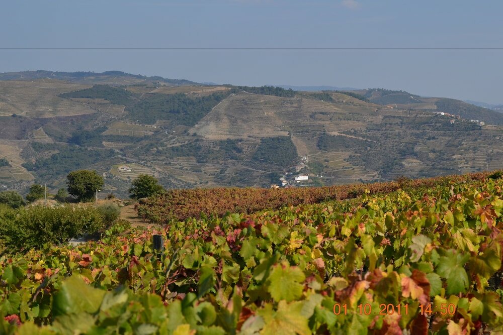 Фото Quinta dos Espinheiros