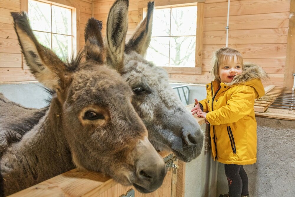 Фото Center Parcs Park Hochsauerland